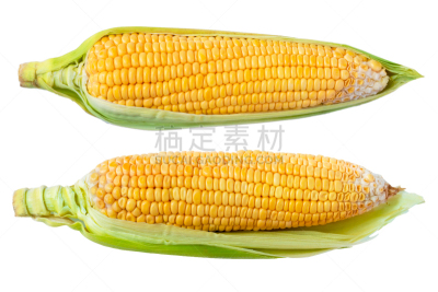 白色,玉米,分离着色,水平画幅,素食,生食,夏天,户外,泰国,农作物