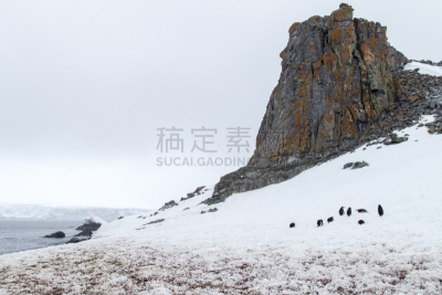 企鹅,南极洲,大群动物,水平画幅,山,雪,无人,半月岛,户外,巴布亚企鹅