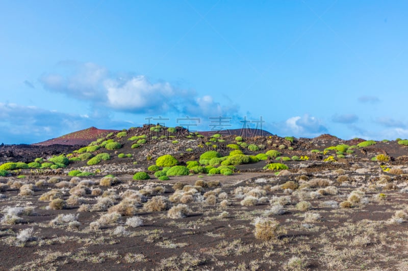 兰萨罗特岛,火山地形,timanfaya national park,加那利群岛,水平画幅,地形,无人,大西洋群岛,户外,西班牙