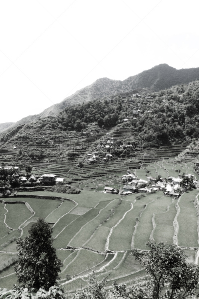 水稻梯田,自然,垂直画幅,悬崖,山,无人,乡村,蓝色,菲律宾,巴拿威