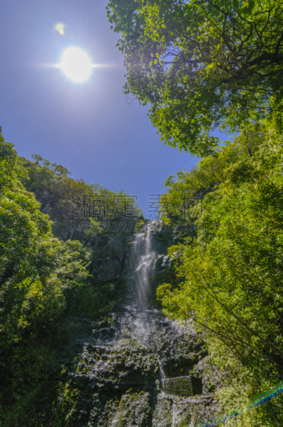 枝繁叶茂,瀑布,夏威夷,美国,毛伊岛,山谷,鸡尾酒,垂直画幅,水,休闲活动