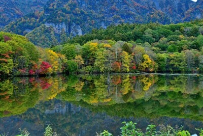 长野县,秋天,日本,户隐山,冈谷,长野城,白桦树,山梨树,倒影湖,鸡爪枫