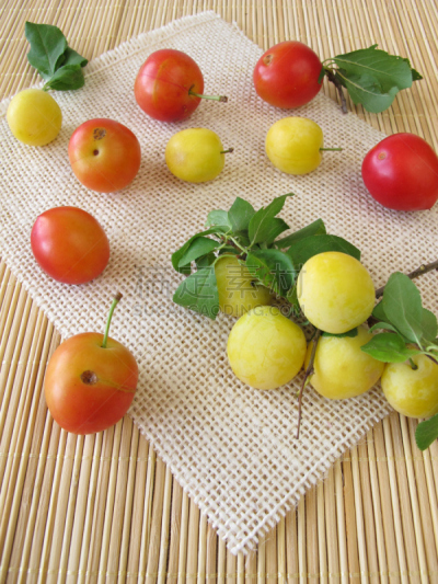 红色,李子,黄色,樱桃,垂直画幅,无人,blireiana plum,黄香李,摄影