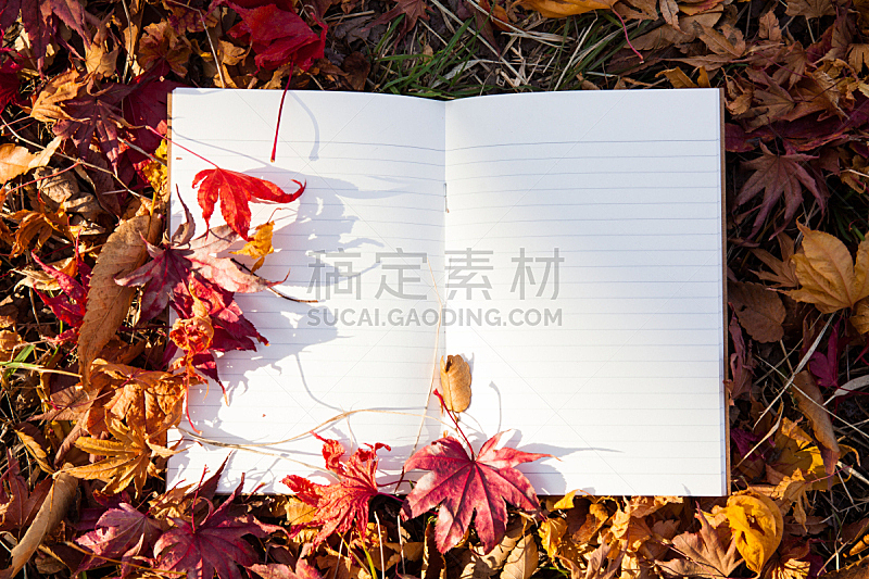 空白的,秋天,笔记本,纸,在下面,水平画幅,无人,户外,书页,干净