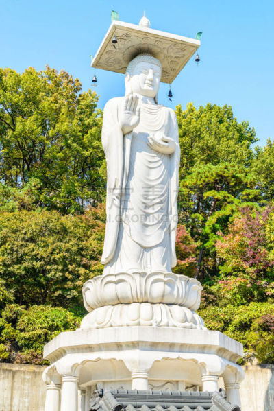 寺庙,江南区,首尔,垂直画幅,建筑,无人,佛,亚洲,著名景点