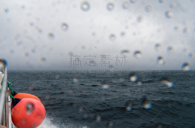 法罗群岛,渡轮,航海图,角嘴海雀,驳船,客轮,水,休闲活动,水平画幅,鸟类