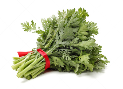 钳夹,食品,白色,草本,菊花,叶子,古老的,分离着色,东方食品,接力赛