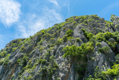 泰国,巴蜀,山,鳄鱼,短吻鳄属,近景,旅途,热带气候,运河,热带树
