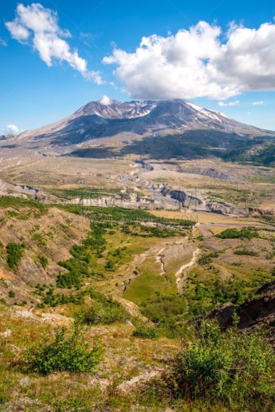 圣海伦火山,华盛顿州,美国,垂直画幅,天空,夏天,北美,秃树,著名景点,风景