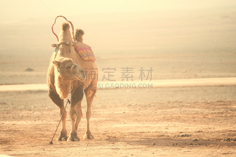 瓷器,褐色,水平画幅,山,贫瘠的,无人,蓝色,干的,红色,热