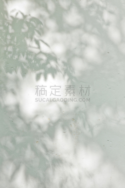 灰膏,墙,阴影,叶子,灰色斑纹马,白涂料,复叶,易接近性,垂直画幅,枝繁叶茂