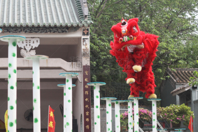 狮子舞蹈,表演艺术活动,红色,传统节日,传统,演出服,异国情调,元宵节,狮子,龙