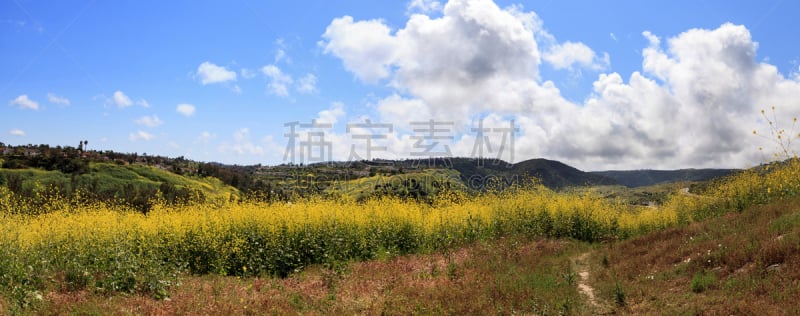 亚里索维耶荷,原野,停车场,风景,加利福尼亚,自然,美国,水平画幅,山,无人