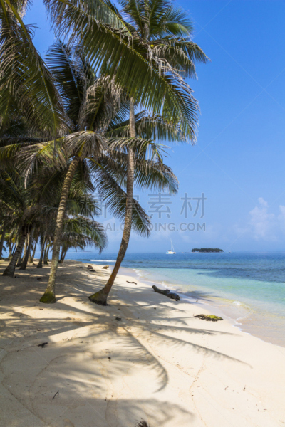 岛,小的,加勒比海地区,桑卜拉斯岛,kuna yala,库纳人,也拉,自然,垂直画幅,群岛