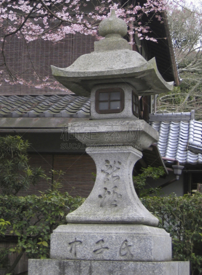 日本灯笼,石灯笼,日文汉字,日语,垂直画幅,京都府,灯笼,樱花,无人,轻的