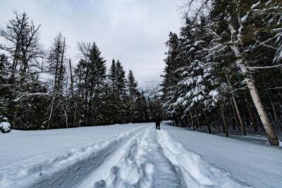 穿雪鞋走路运动,冬季运动会,美国冰河国际公园,雪鞋,蒙大拿州,冬季运动,水,天空,休闲活动,雪