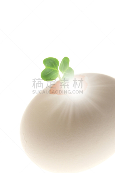 蛋,双叶区,自然,垂直画幅,绿色,鸡蛋,无人,植物,新生活,破碎的