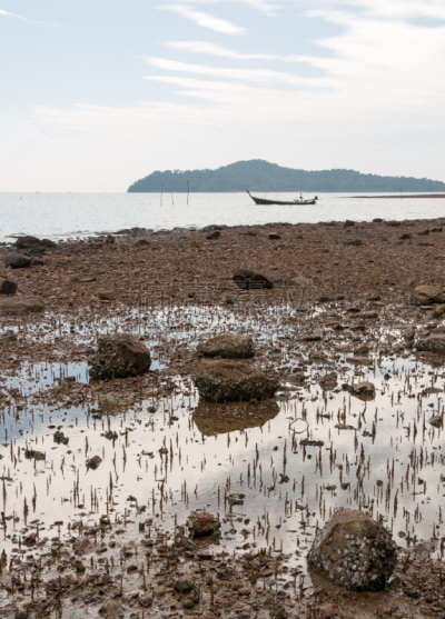 泰国,浅的,海滩,垂直画幅,岩石,无人,蓝塔岛,户外,红树,海洋