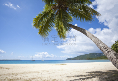 棕榈树,海滩,美属维尔京群岛,鸡尾酒,天空,度假胜地,水平画幅,沙子,圣汤姆斯,无人