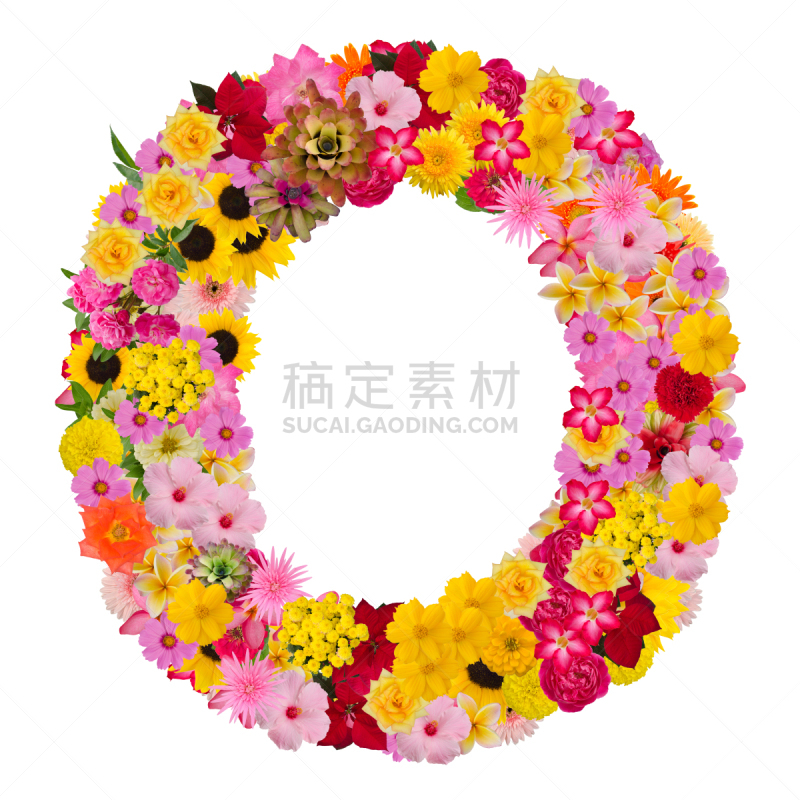 字母,英文字母o,字体,概念,接力赛,字母表次序,品牌名称,玫瑰,背景分离,马齿苋