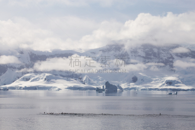 安维斯岛,杰拉许海峡,逆戟鲸,南极洲,风景,水,天空,水平画幅,山,威德尔海