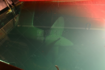 螺旋桨,水平画幅,无人,邮轮,水下,远洋班轮,客轮,红灯,生锈的,螺丝