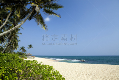 海滩,斯里兰卡,鸡尾酒,水,天空,留白,水平画幅,沙子,无人,椰子树