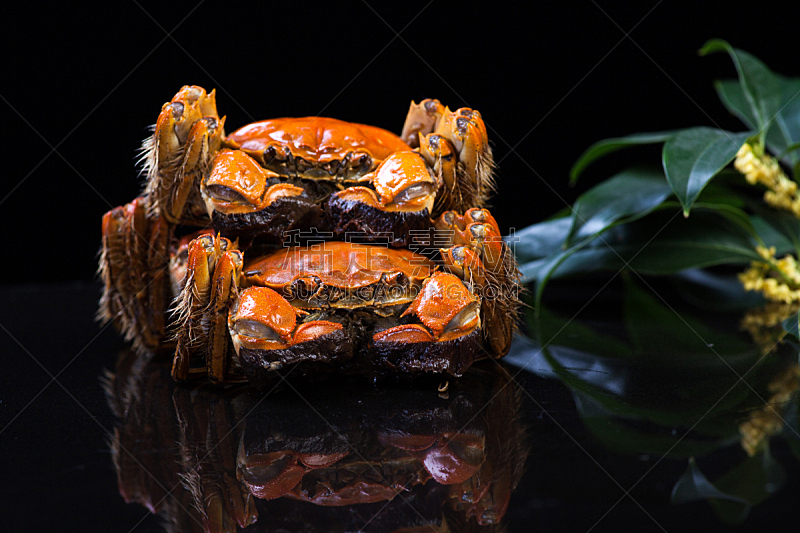 螃蟹,中国,大闸蟹,连指手套,水平画幅,篮子,湖,白色,多毛的,晚餐
