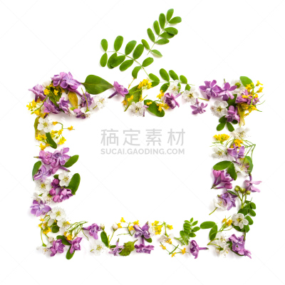 长方形,边框,白色背景,反差,野花,农神庙,黑影照片,山楂