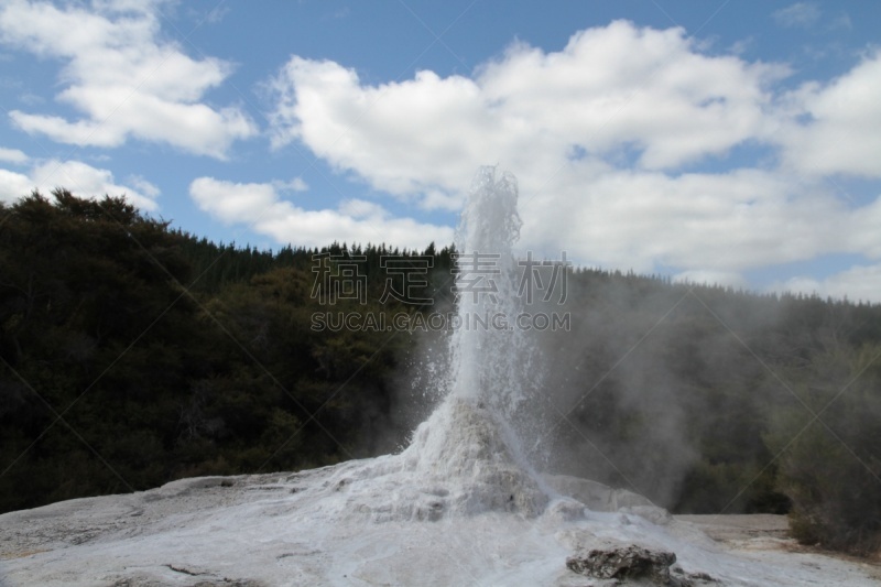 罗托鲁阿,新西兰,一只动物,部分,水,水平画幅,lake tarawera,无人,火山地形,户外