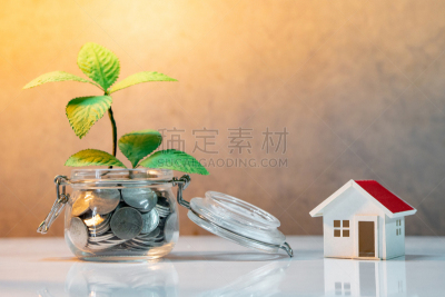 抵押文件,模型,救球,房地产,房屋,概念,贷款,植物,桌子,广口瓶
