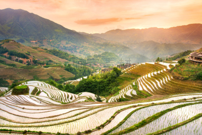 龙脊梯田,梯田,桂林,田地,中国,米,在上面,龙胜,水稻梯田,栽培植物