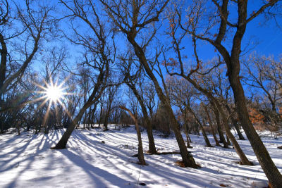 新墨西哥,冬天,白山,白昼,2019,寒冷,一月,树荫,雪,阴影