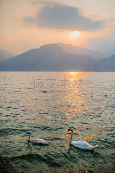 加尔达湖,意大利,托尔博莱,垂直画幅,水,无人,夏天,湖,海滩,山