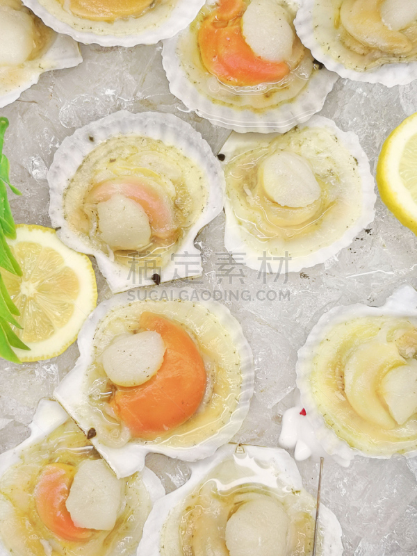 生食,海产,组图,垂直画幅,水,新加坡,无人,膳食,特写,扇贝