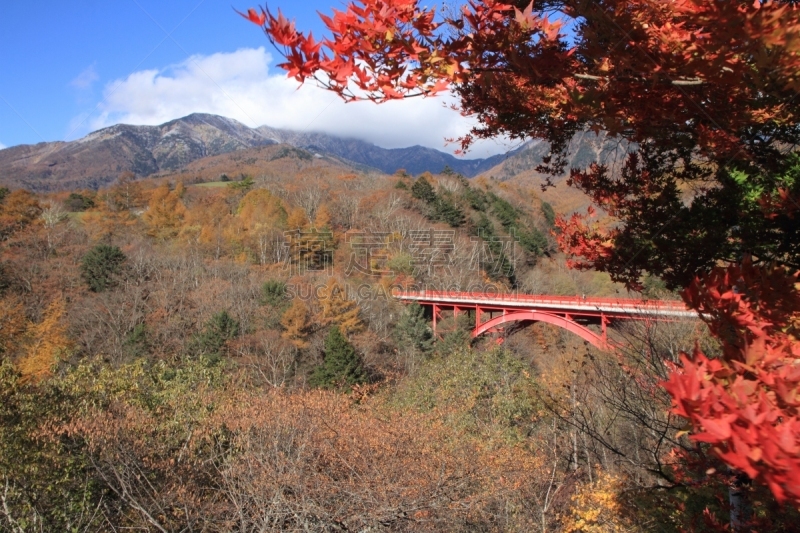 叶子,秋天,清里明良,桥,东河,天空,里山,水平画幅,无人,银杏