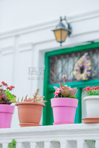 古老的,希腊,街道,乡村,饰品花,传统,色彩鲜艳,花盆,垂直画幅,无人