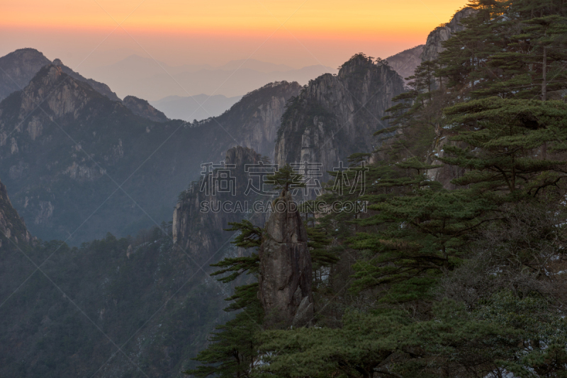 黄山山脉,安徽省,松树,中国,地形,桨叉架船,一只动物,中国东部,旅游