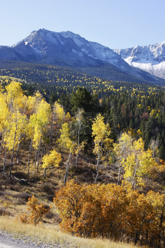 科罗拉多州,Uncompahgre National Forest,达拉斯市,垂直画幅,天空,雪,无人,布希曼族,户外,分割