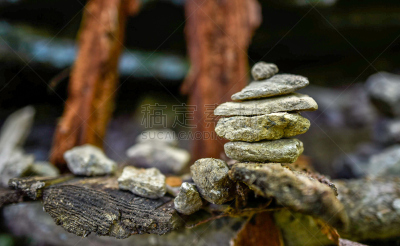 岩石,美国,蓝岭公路,水平画幅,无人,散焦,阿巴拉契亚山脉,蓝色山脊山脉,克拉布特里瀑布,户外