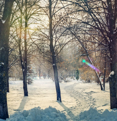 温特帕克,早晨,冬天,伦敦城,雪堆,垂直画幅,风,暴风雨,雪,户外
