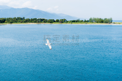 萨索斯,海鸥,海洋,希腊诸岛,嘉龄,暴风雨前的平静,渡轮,客轮,水,天空