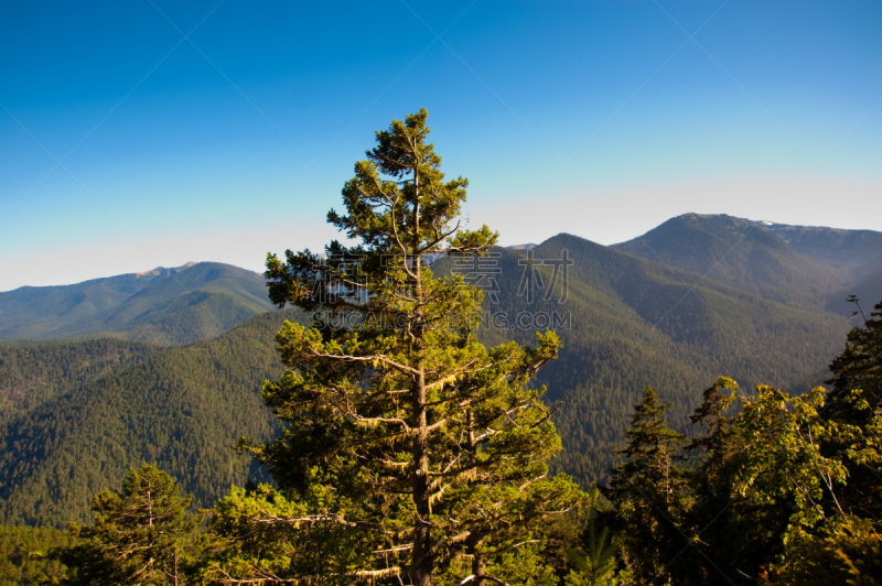 飓风山脊,奥林匹克国家公园,奥林匹克山,自然,公园,草地,水平画幅,绿色,地形,山