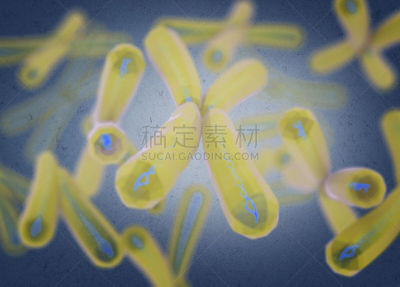 绘画插图,染色体,三维图形,打叉,水平画幅,形状,人,科学,健康保健