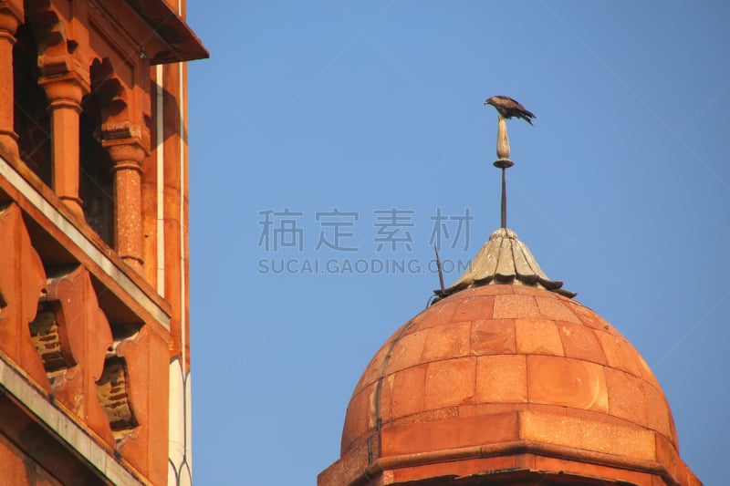 都市风景,老鹰,在上面,千禧穹顶,小的,德里,陵墓,外立面,水平画幅,建筑