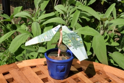 血汗钱,平衡折角灯,发财树,储蓄,水平画幅,银行帐户,投资报酬率,植物,花盆,商务
