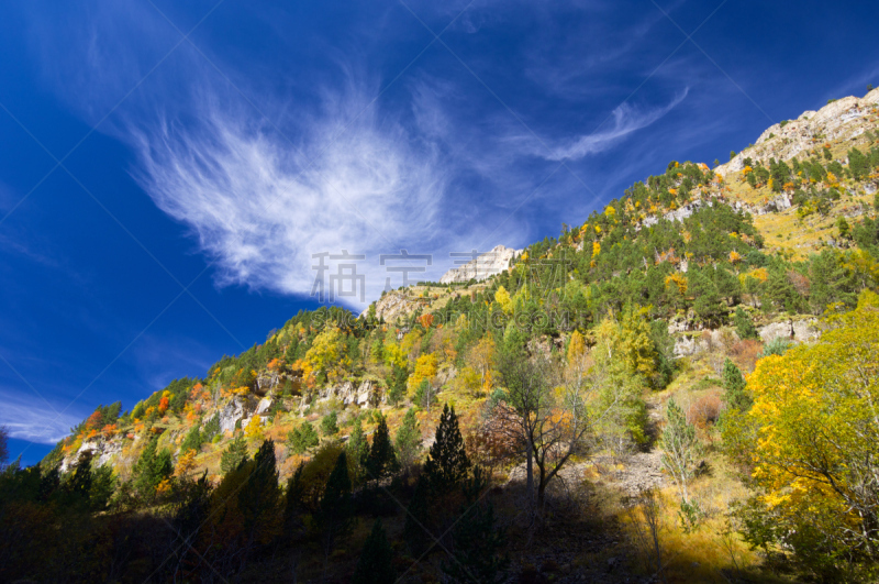 ordesa national park,十月,有序,环境,橙色,色彩鲜艳,著名景点,自然美,植物,户外