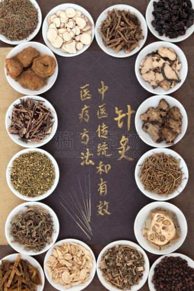 针灸,皂荚,五味子属,龙胆属植物,手术缝合,针灸针,大黄,中医,道教,垂直画幅