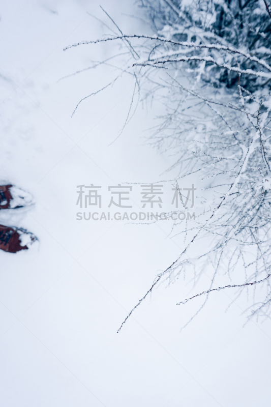 雪,冬天,鞋子,灌木,皮革,水晶鞋,雾淞,大风雪,垂直画幅,新的