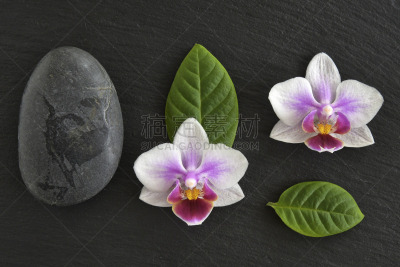 石头,兰花,石片,健康保健,暗色,清新,背景分离,青春期,健康,平衡